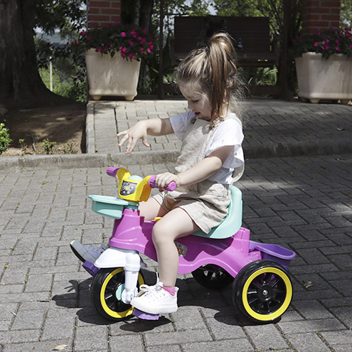 Carrinho Infantil Passeio e Pedal Triciclo 2 em 1 - Play Trike - Maral -  Rosa